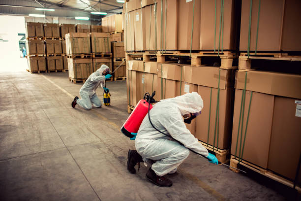 Best Termite Control Services  in Batavia, NY