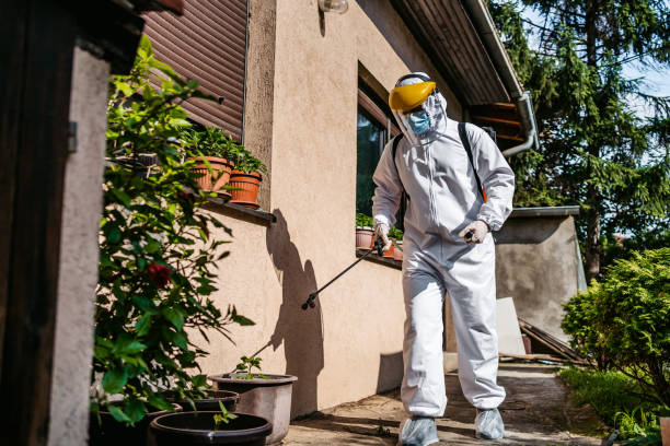 Best Rodent Control Near Me  in Batavia, NY