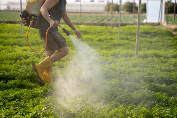 Professional Pest Control in Batavia, NY