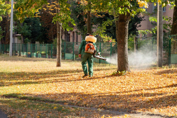 Best Spider Control Near Me  in Batavia, NY